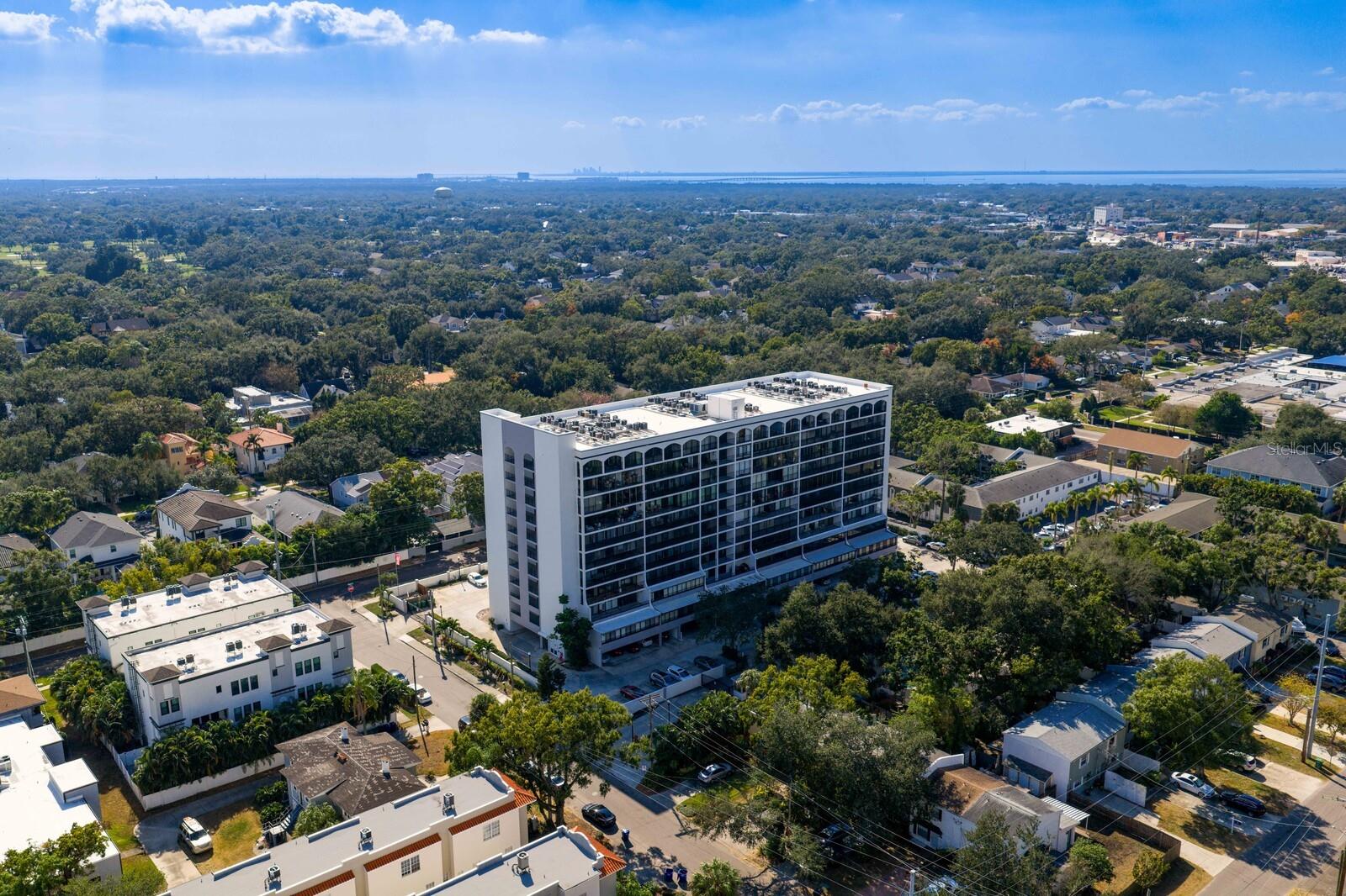 3211 W SWANN AVE #204, TAMPA, FL, 33609