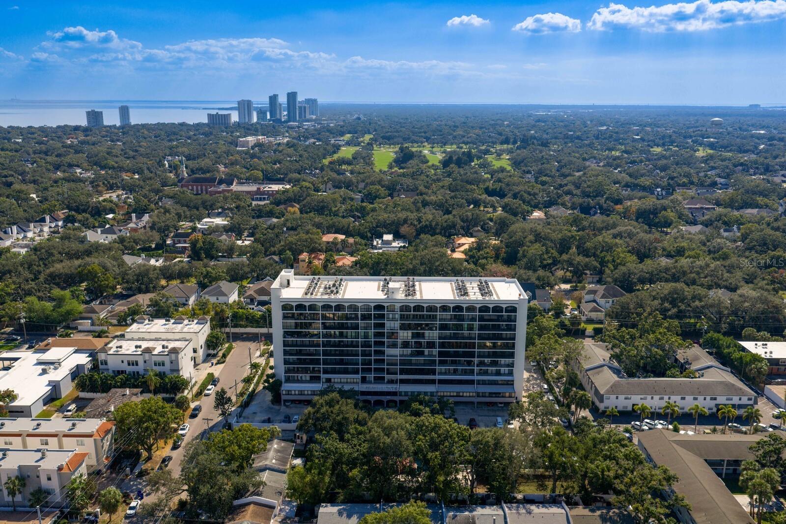 3211 W SWANN AVE #204, TAMPA, FL, 33609