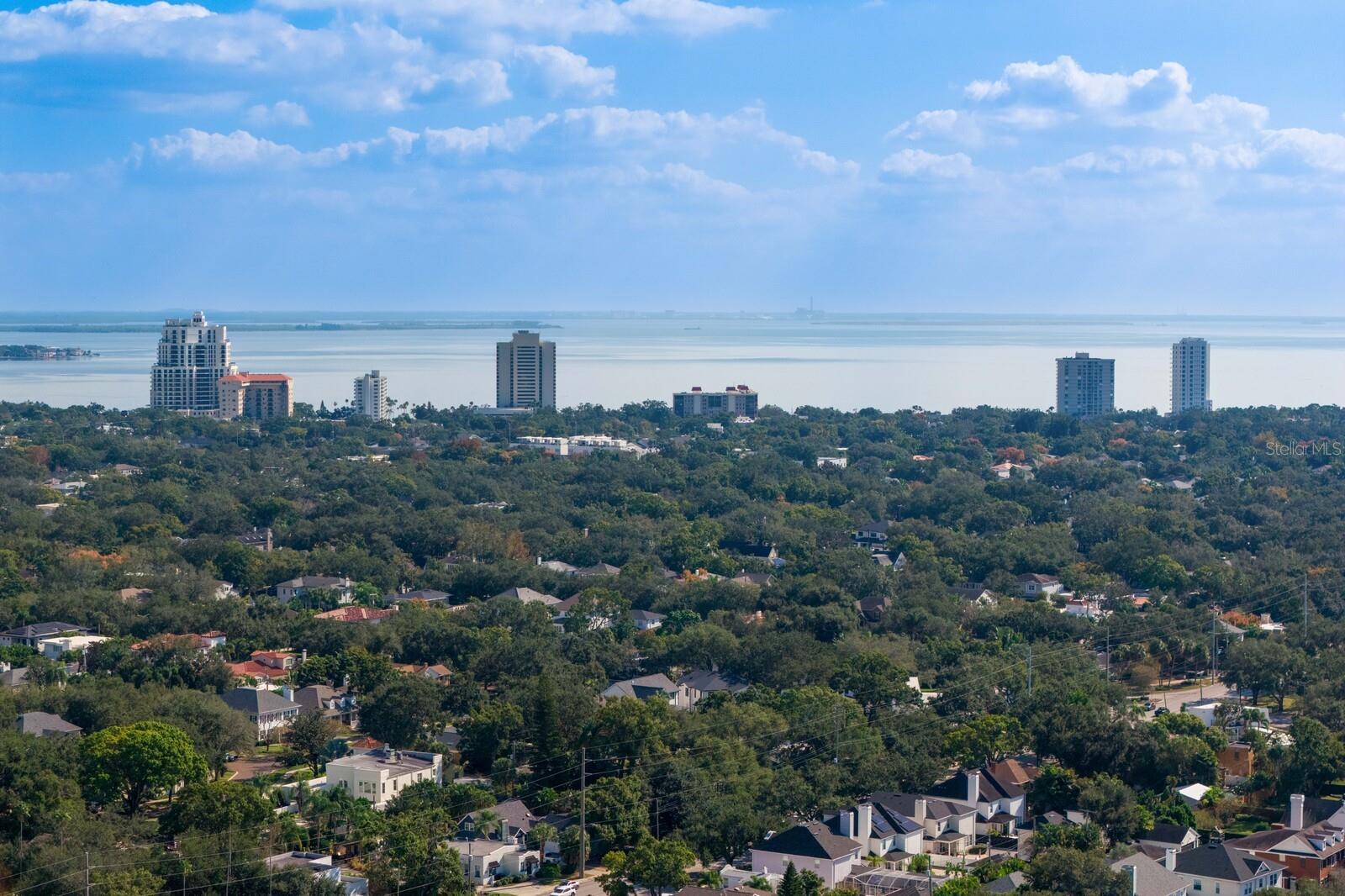 3211 W SWANN AVE #204, TAMPA, FL, 33609