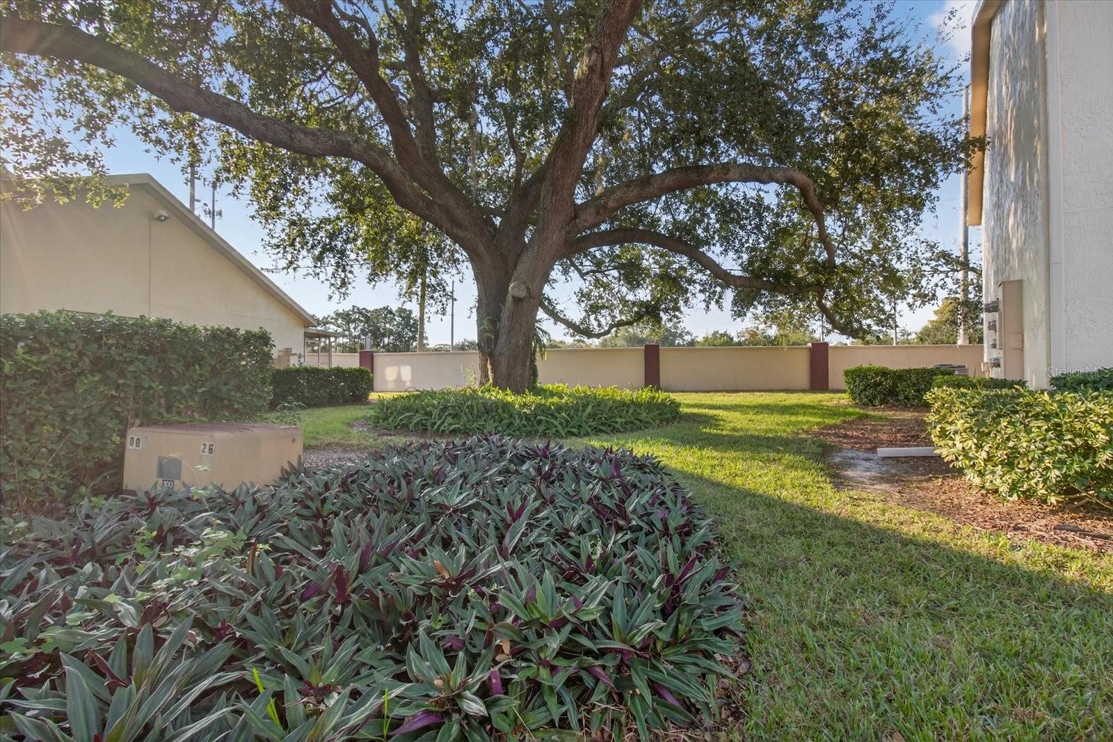 7802 HARDWICK DR #1116, NEW PORT RICHEY, FL, 34653