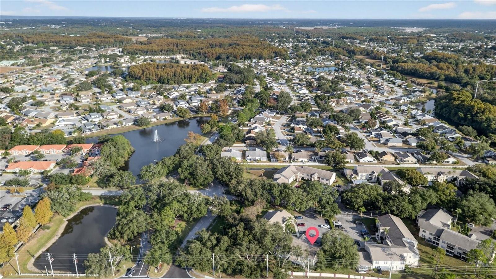 7802 HARDWICK DR #1116, NEW PORT RICHEY, FL, 34653