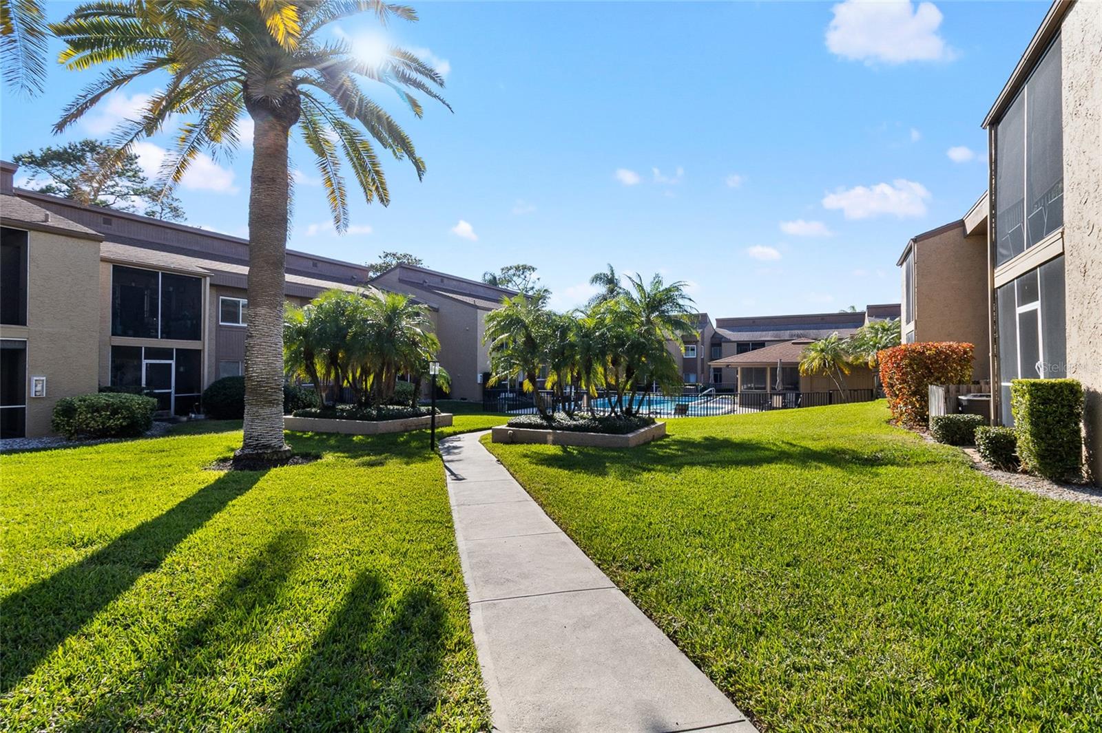 1579 GREENLEA DR #12, CLEARWATER, FL, 33755