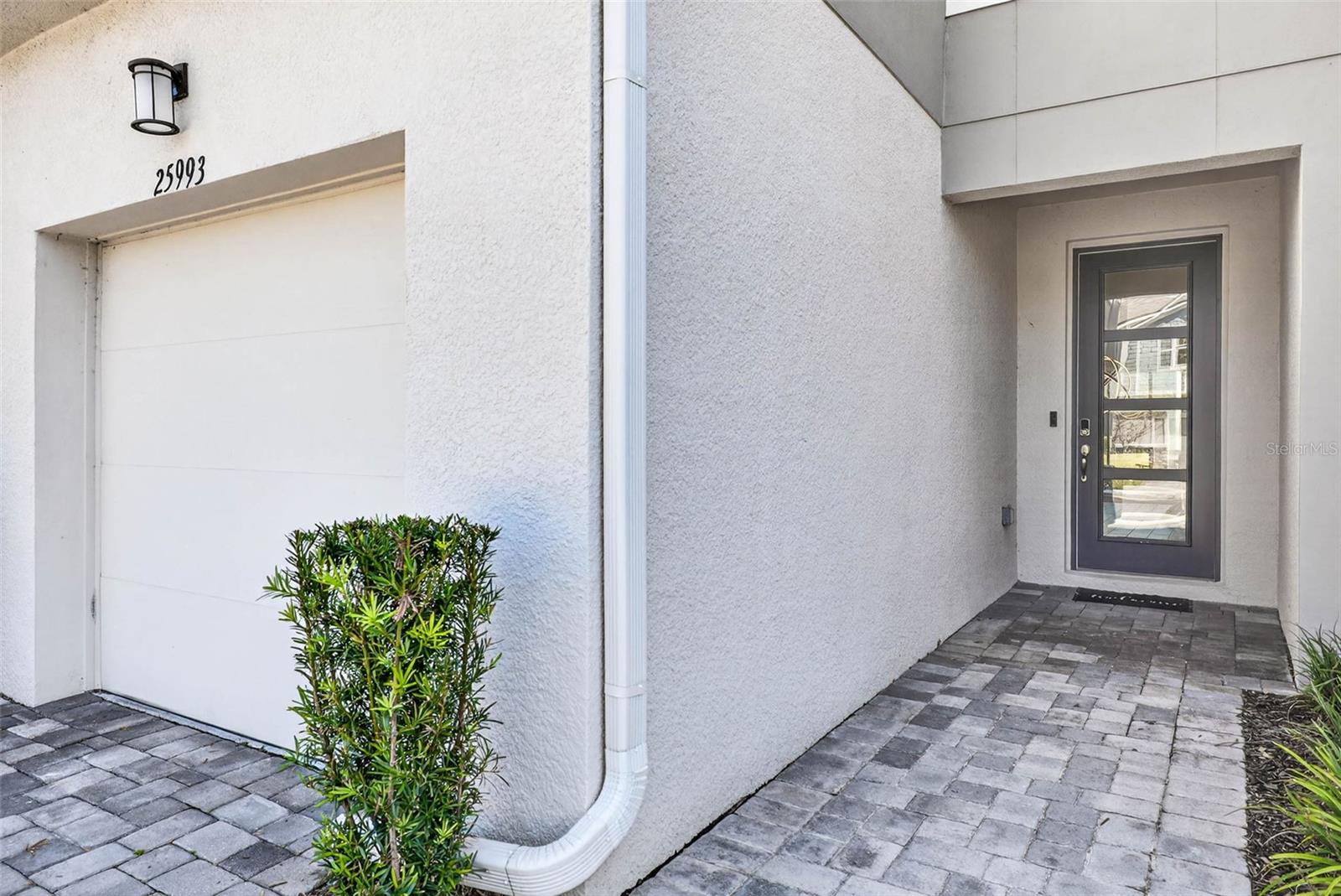 25993 WOVEN WICKER BND, LUTZ, FL, 33559