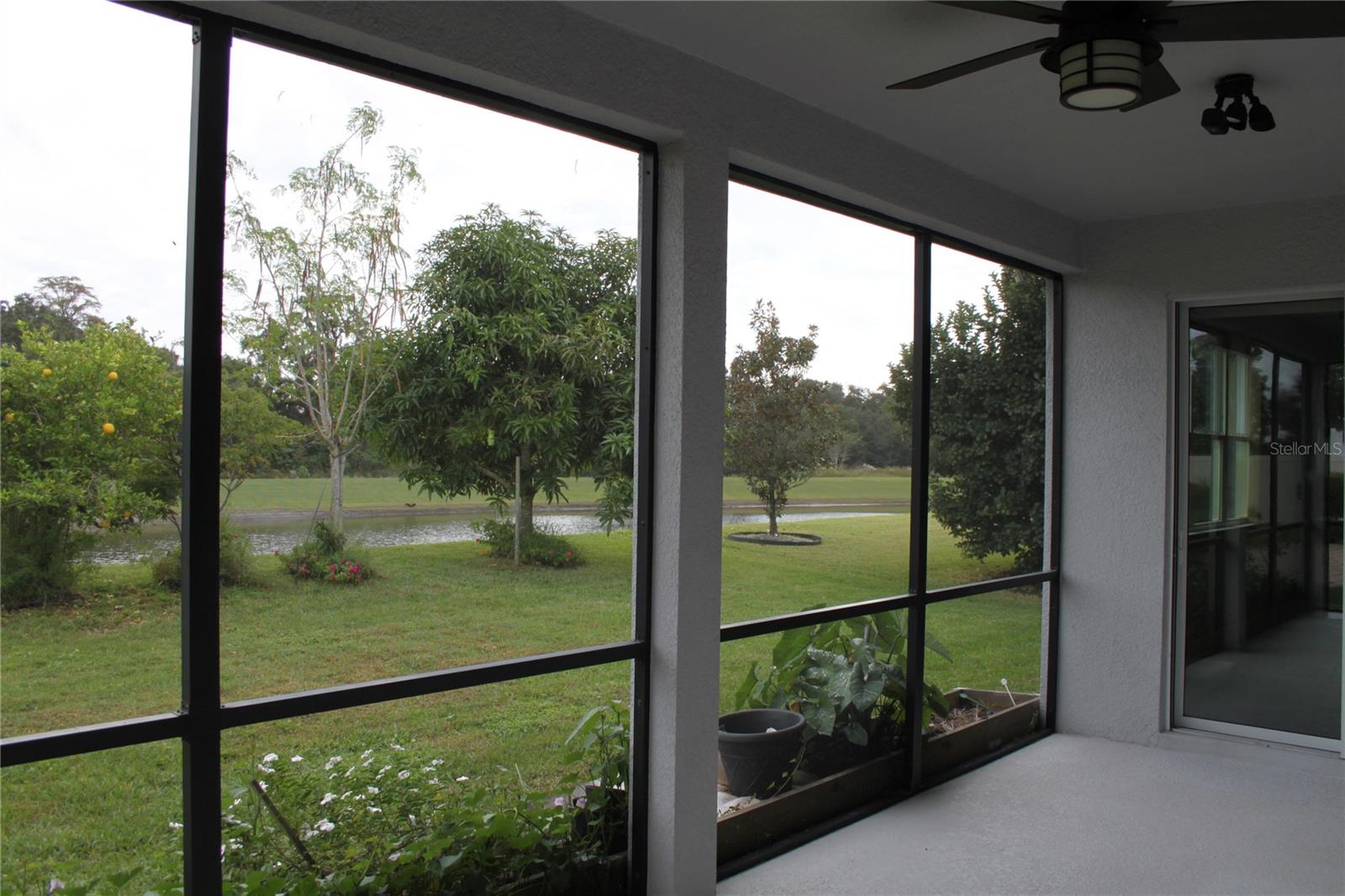 14505 WARD RD, ORLANDO, FL, 32824