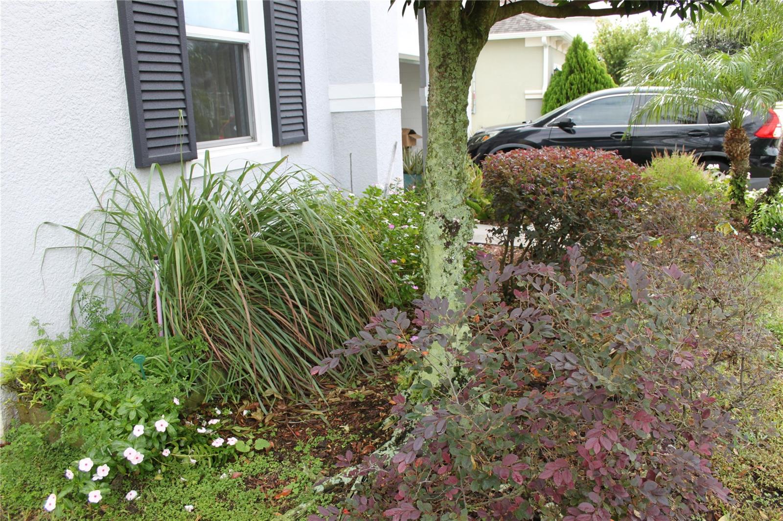 14505 WARD RD, ORLANDO, FL, 32824