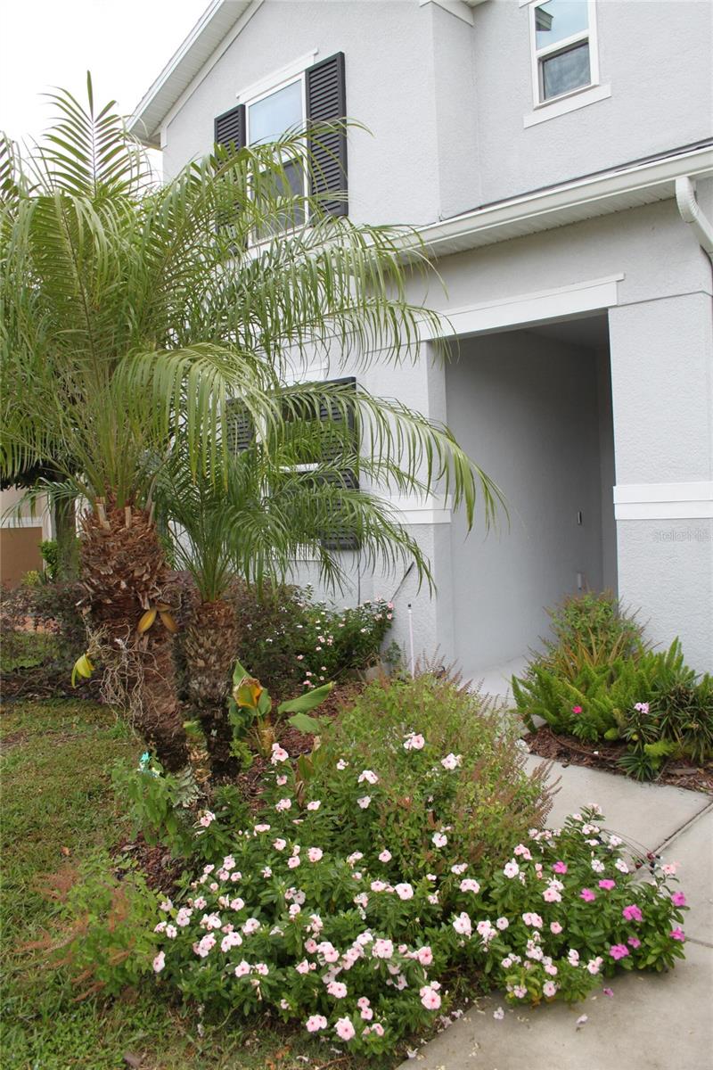 14505 WARD RD, ORLANDO, FL, 32824