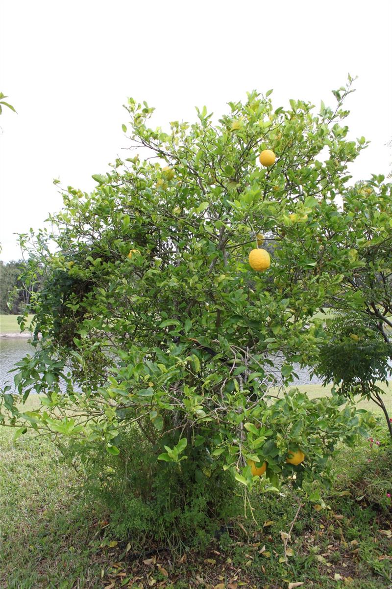 14505 WARD RD, ORLANDO, FL, 32824