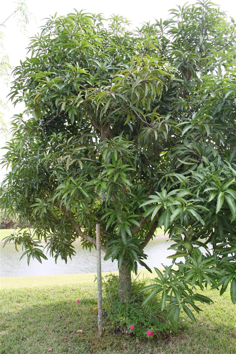 14505 WARD RD, ORLANDO, FL, 32824