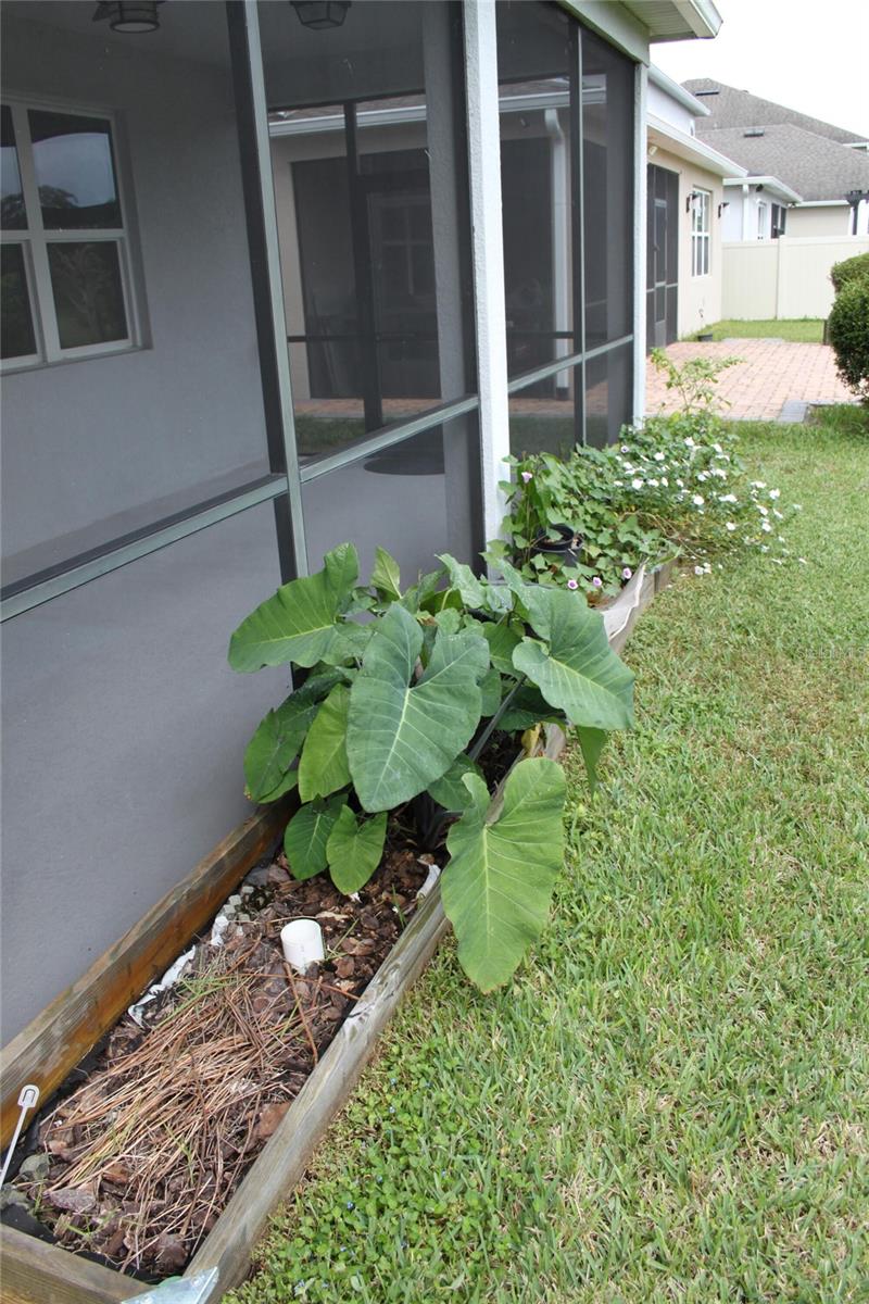 14505 WARD RD, ORLANDO, FL, 32824