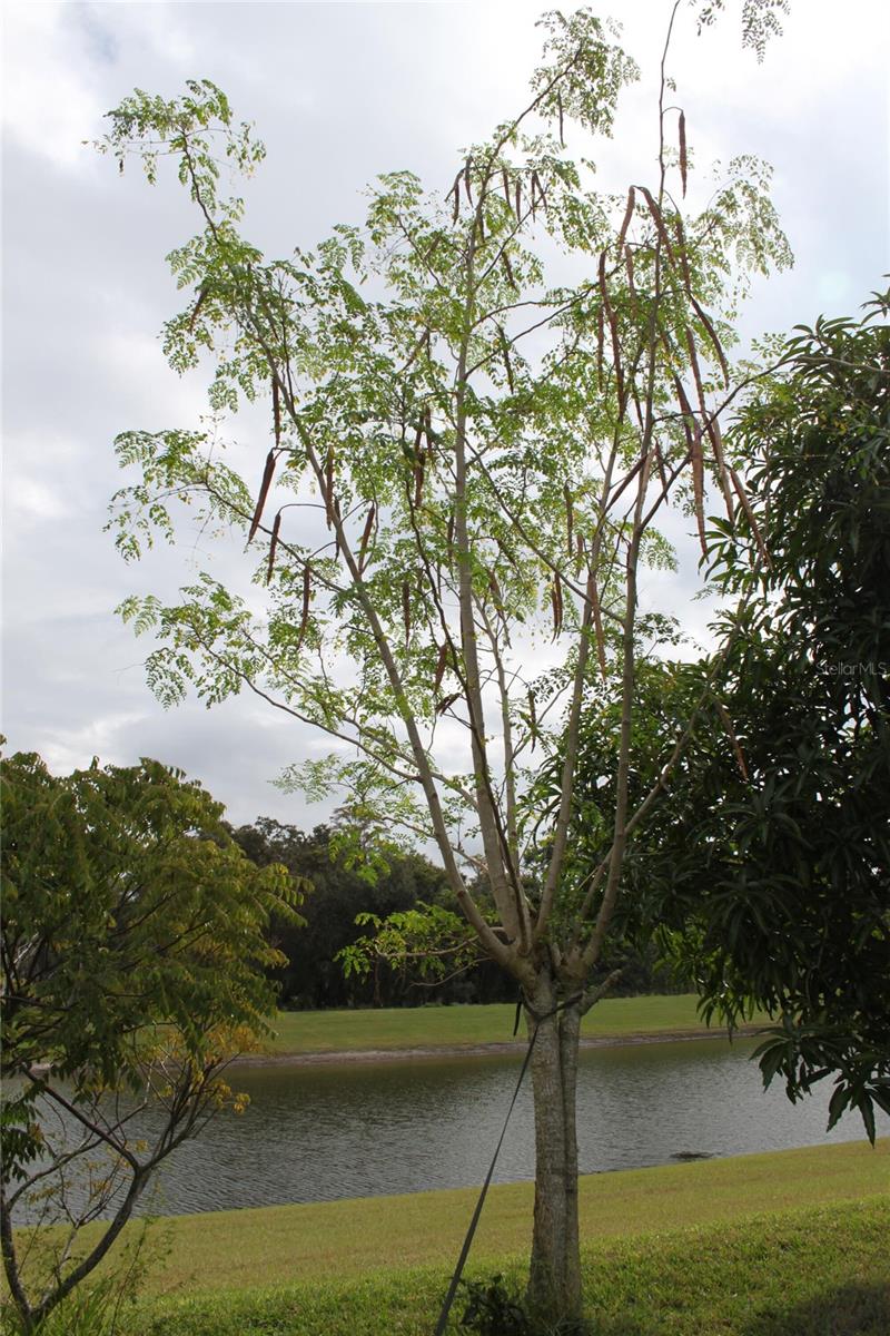 14505 WARD RD, ORLANDO, FL, 32824