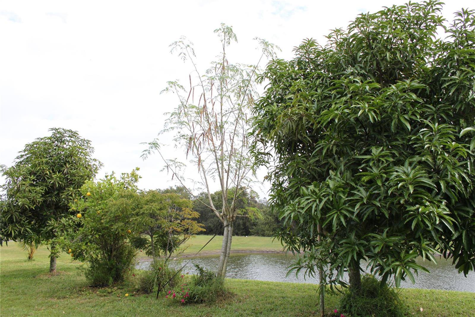 14505 WARD RD, ORLANDO, FL, 32824