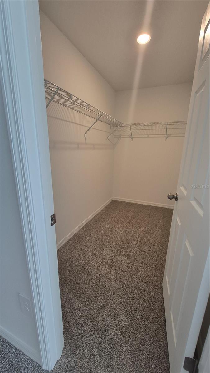 16357 BIRD OF PARADISE AVE, CLERMONT, FL, 34714