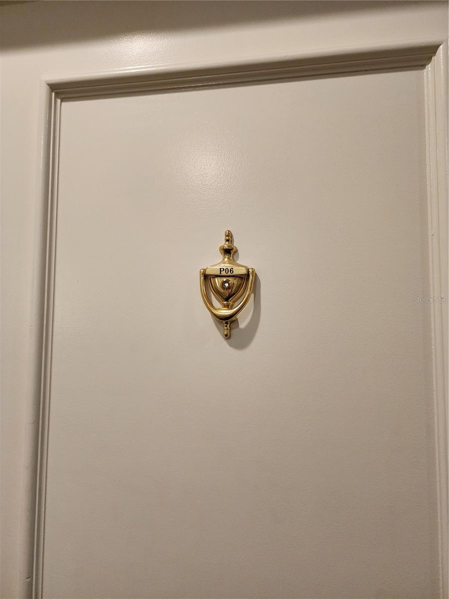 345 BAYSHORE BLVD #P6, TAMPA, FL, 33606