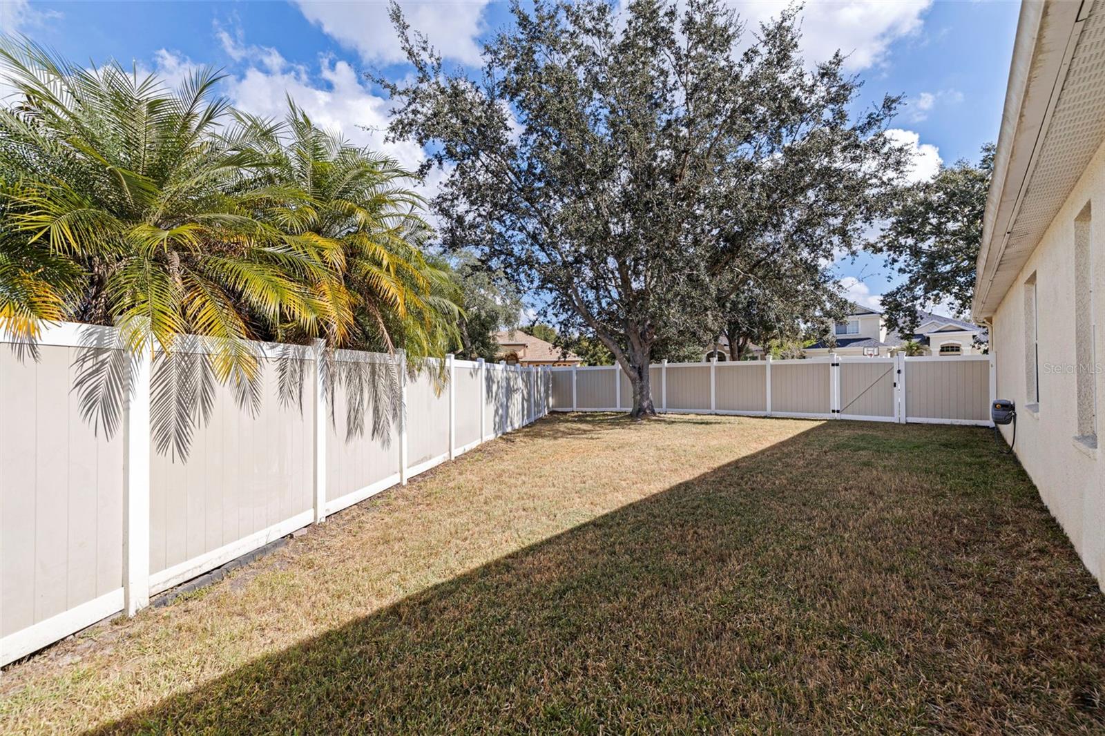10738 BANFIELD DR, RIVERVIEW, FL, 33579