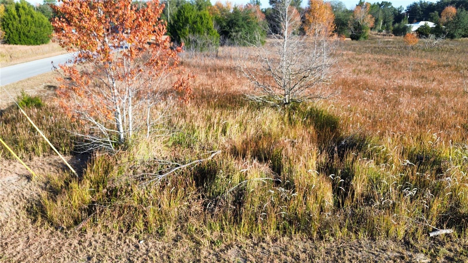 0 SW 32ND PLACE, OCALA, FL, 34481