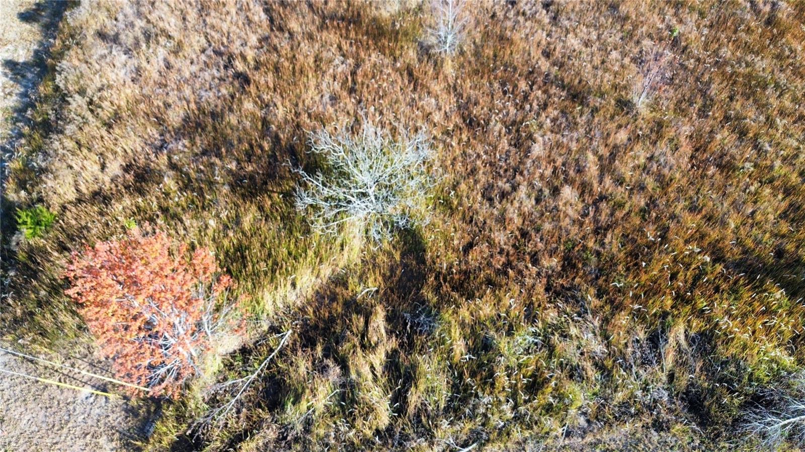 0 SW 32ND PLACE, OCALA, FL, 34481