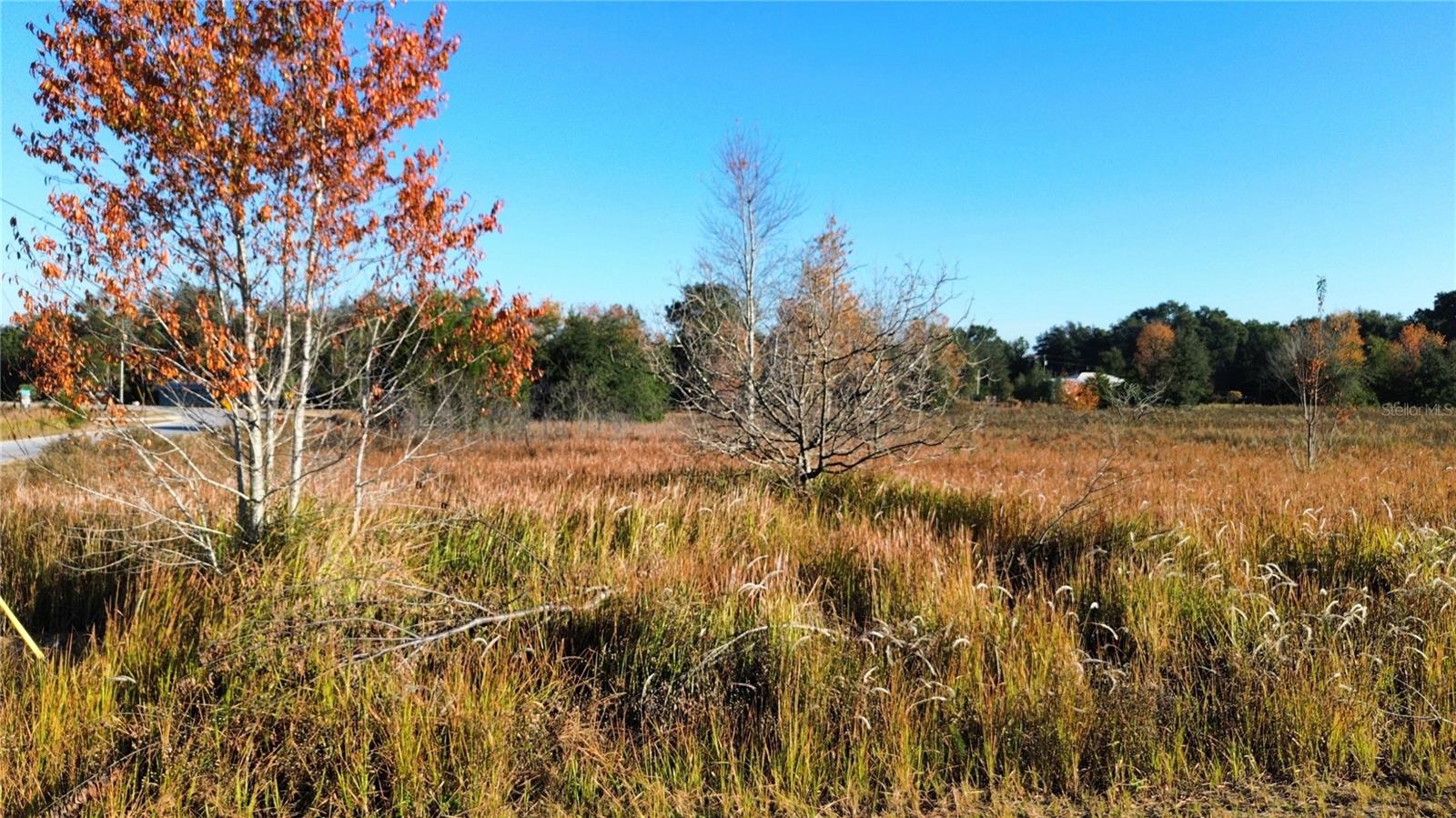 0 SW 32ND PLACE, OCALA, FL, 34481