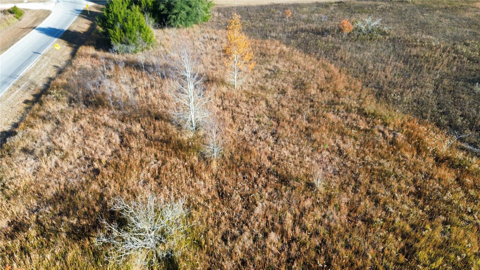 0 SW 32ND PLACE, OCALA, FL, 34481