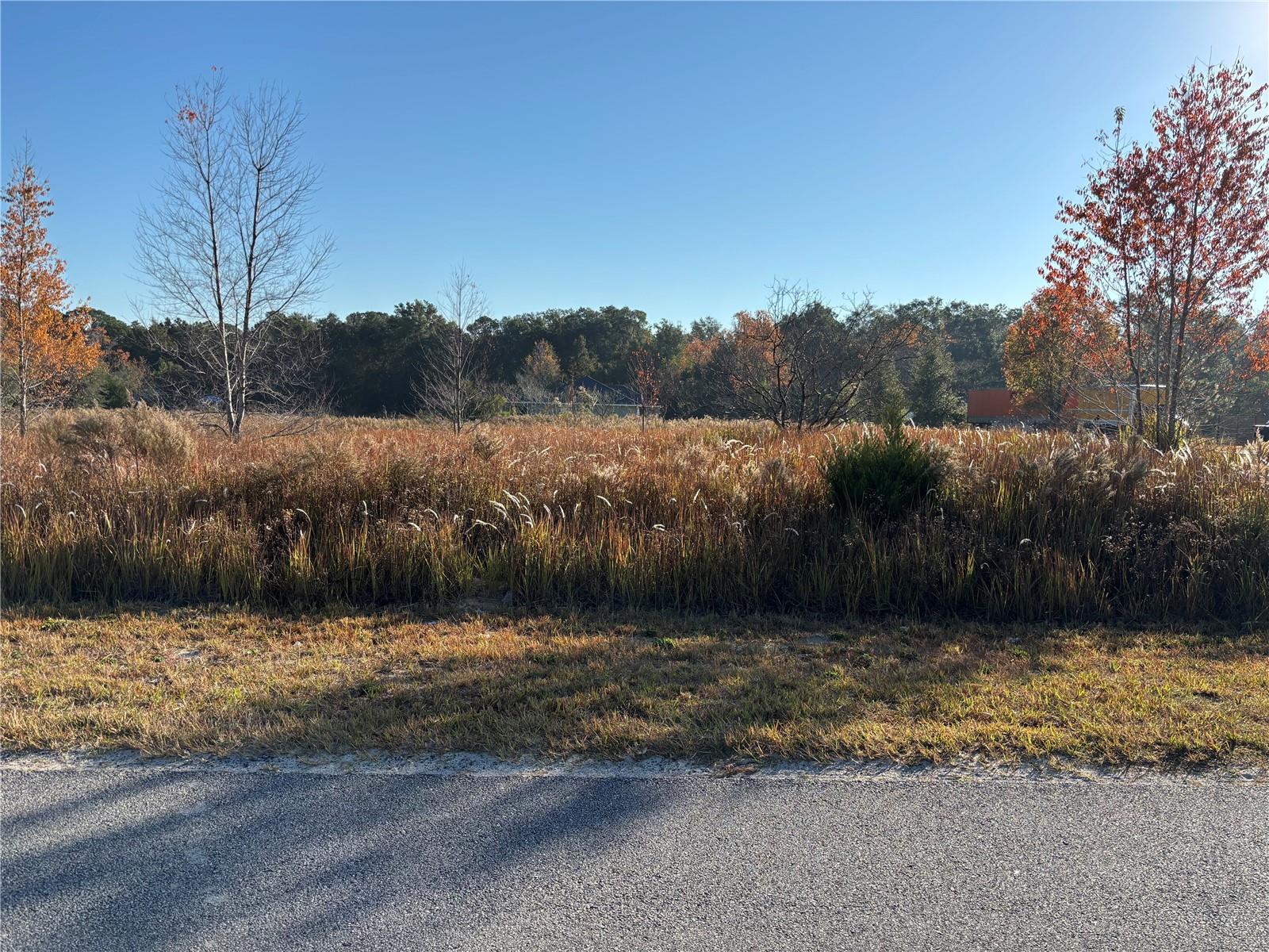 0 SW 32ND PLACE, OCALA, FL, 34481