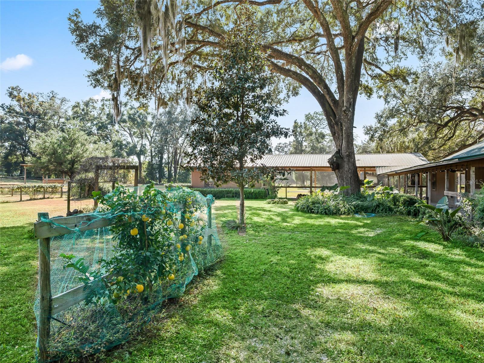 4551 NE 160TH AVE, WILLISTON, FL, 32696