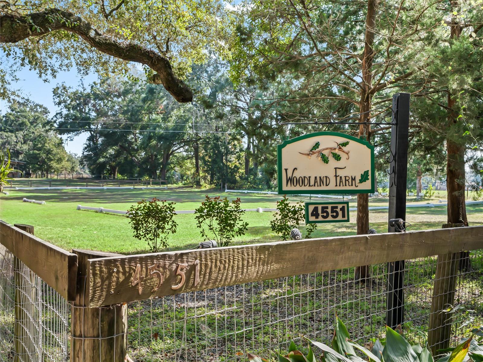 4551 NE 160TH AVE, WILLISTON, FL, 32696