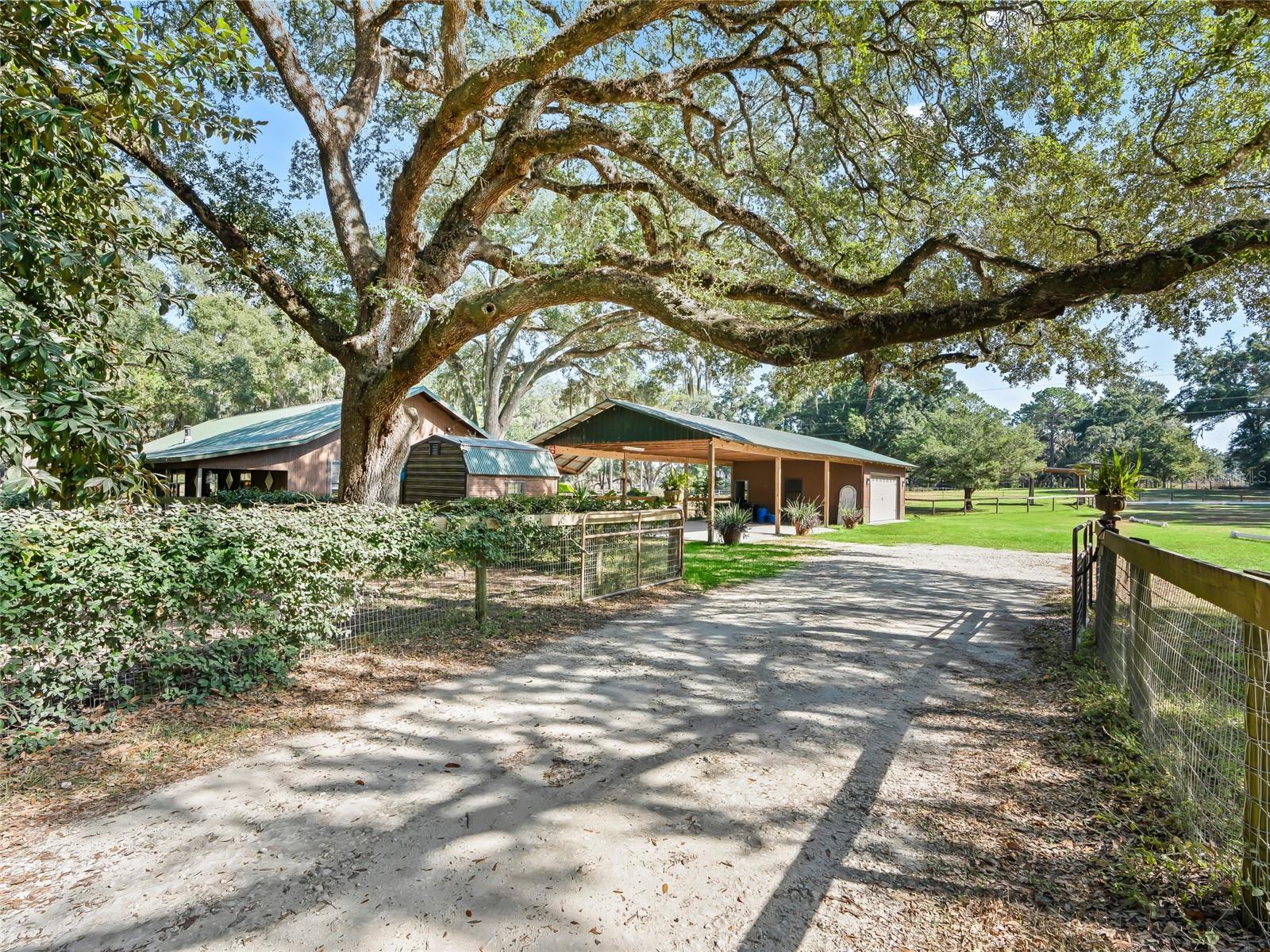 4551 NE 160TH AVE, WILLISTON, FL, 32696