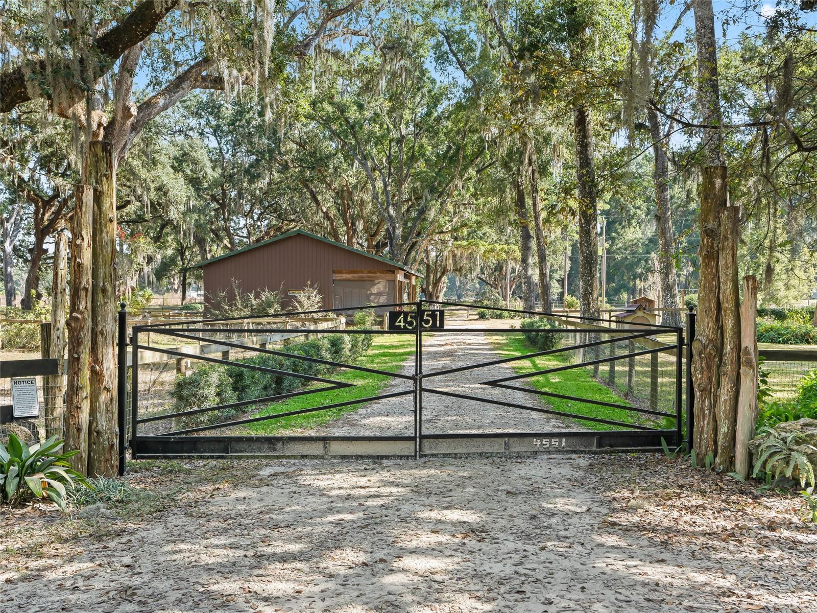 4551 NE 160TH AVE, WILLISTON, FL, 32696