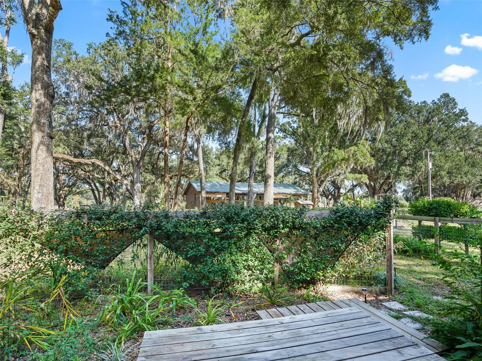 4551 NE 160TH AVE, WILLISTON, FL, 32696