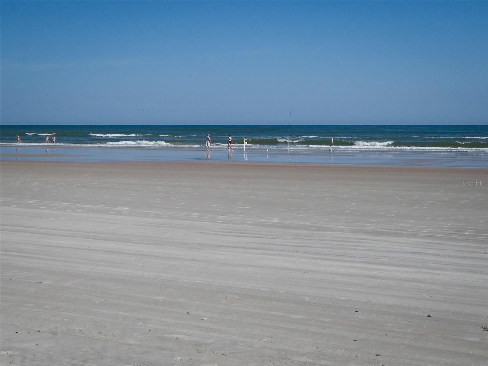 813 E 8TH AVE, NEW SMYRNA BEACH, FL, 32169