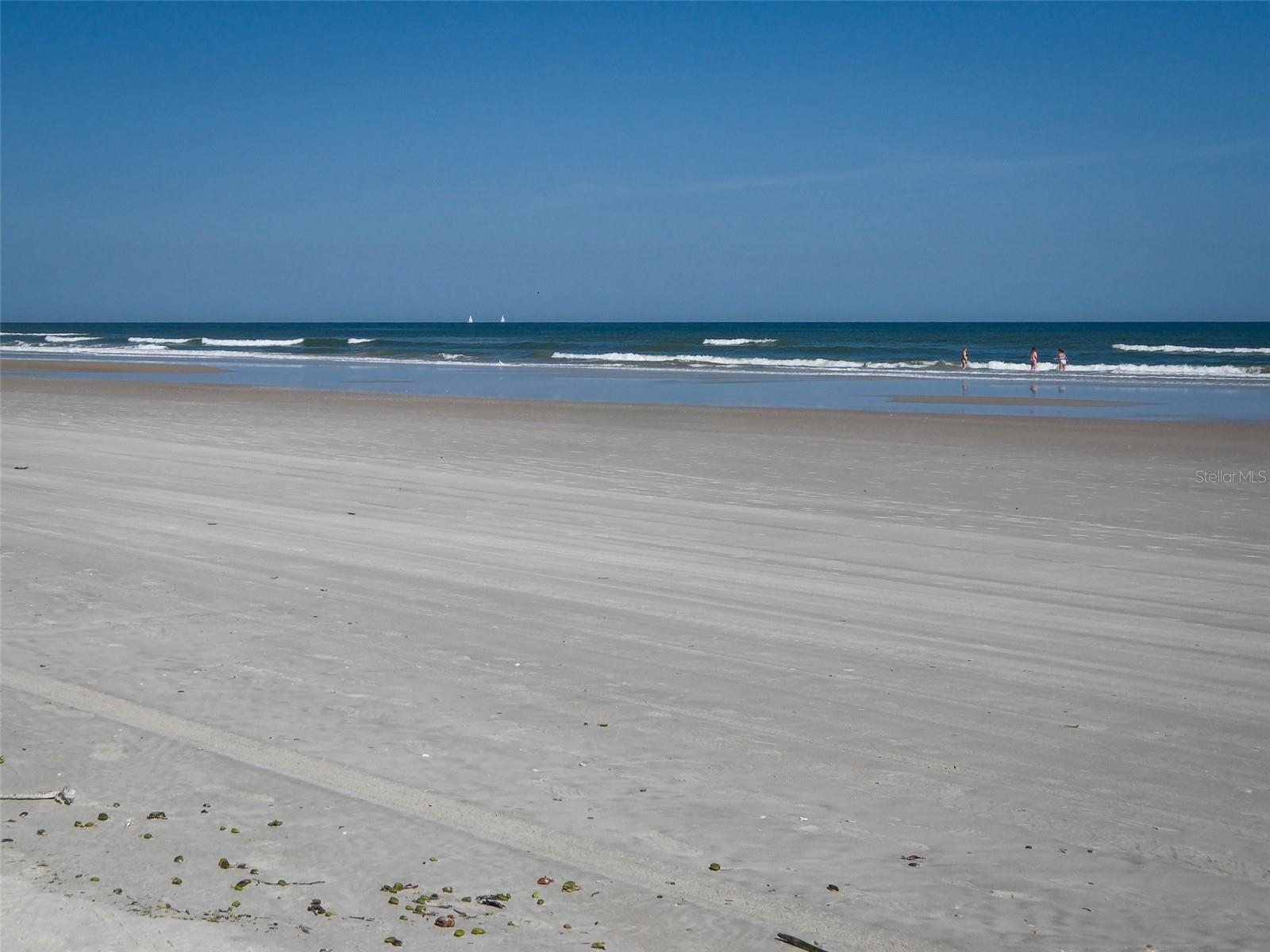 813 E 8TH AVE, NEW SMYRNA BEACH, FL, 32169