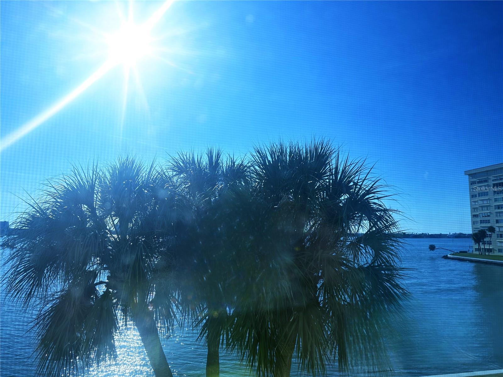 4525 COVE CIR #304, ST PETERSBURG, FL, 33708