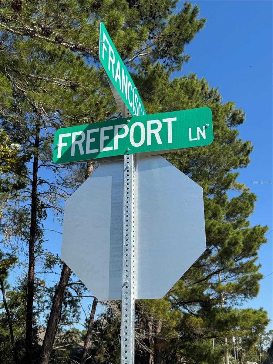 19 FREEPORT LN, PALM COAST, FL, 32137