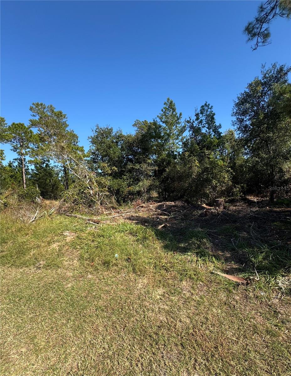 19 FREEPORT LN, PALM COAST, FL, 32137