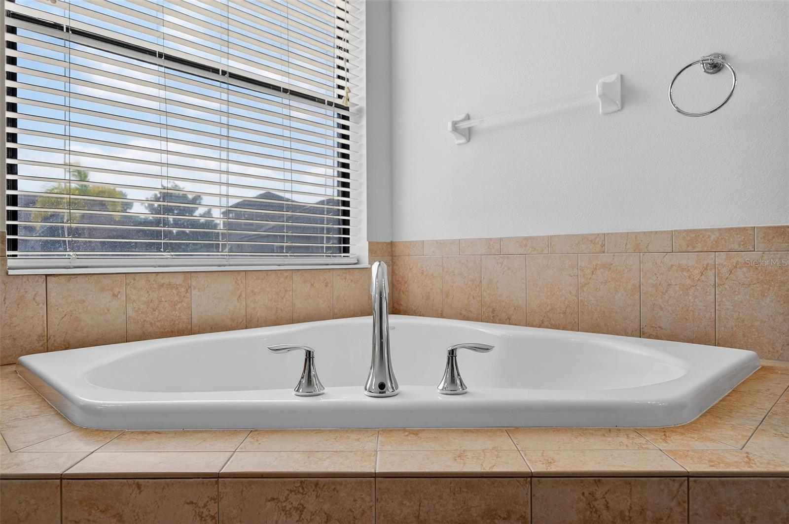 8437 WHITE POPLAR DR, RIVERVIEW, FL, 33578