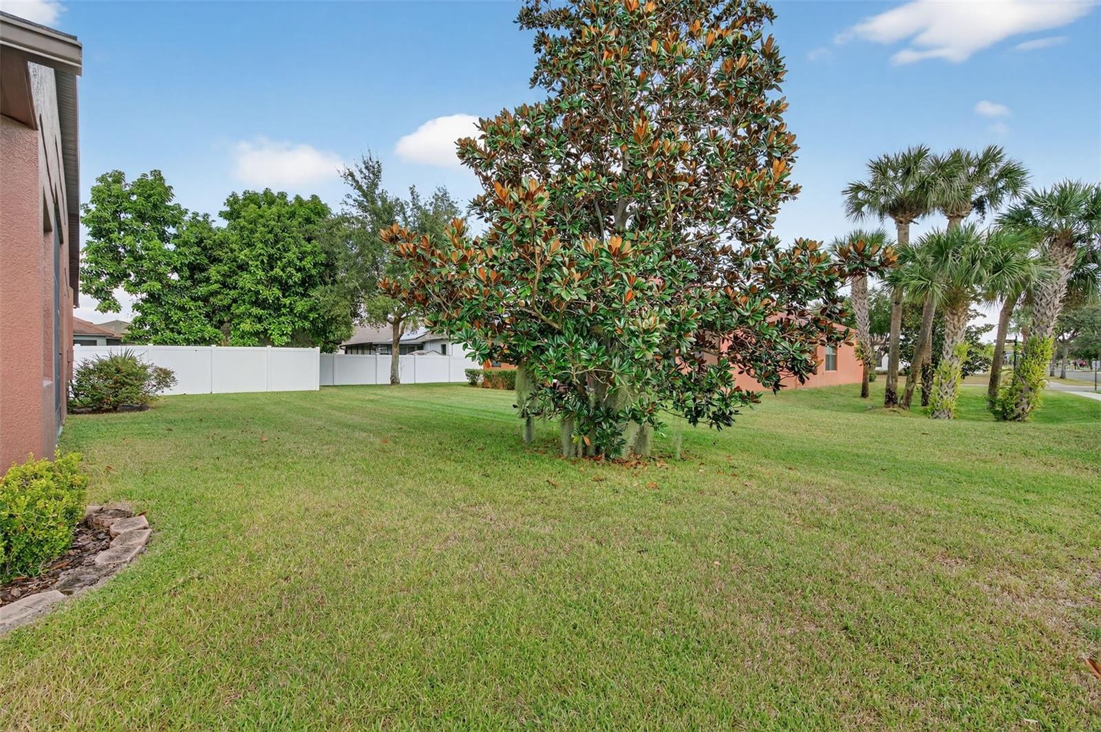 8437 WHITE POPLAR DR, RIVERVIEW, FL, 33578