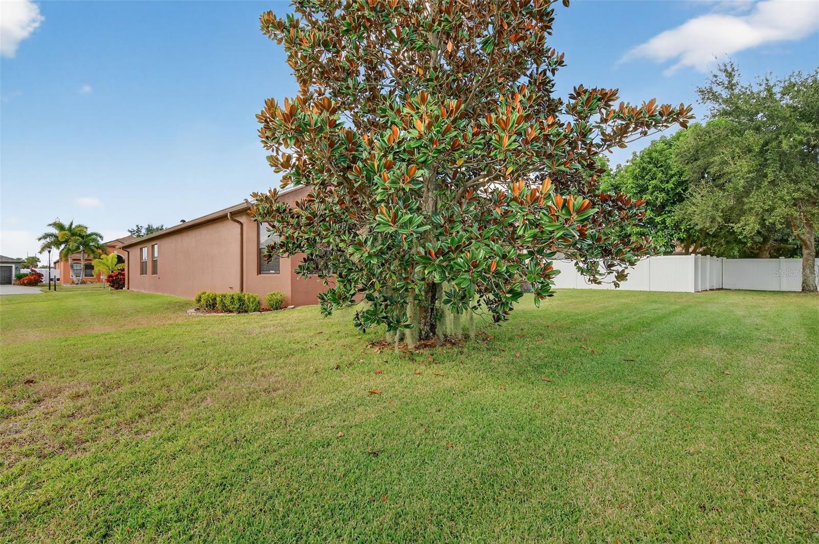 8437 WHITE POPLAR DR, RIVERVIEW, FL, 33578