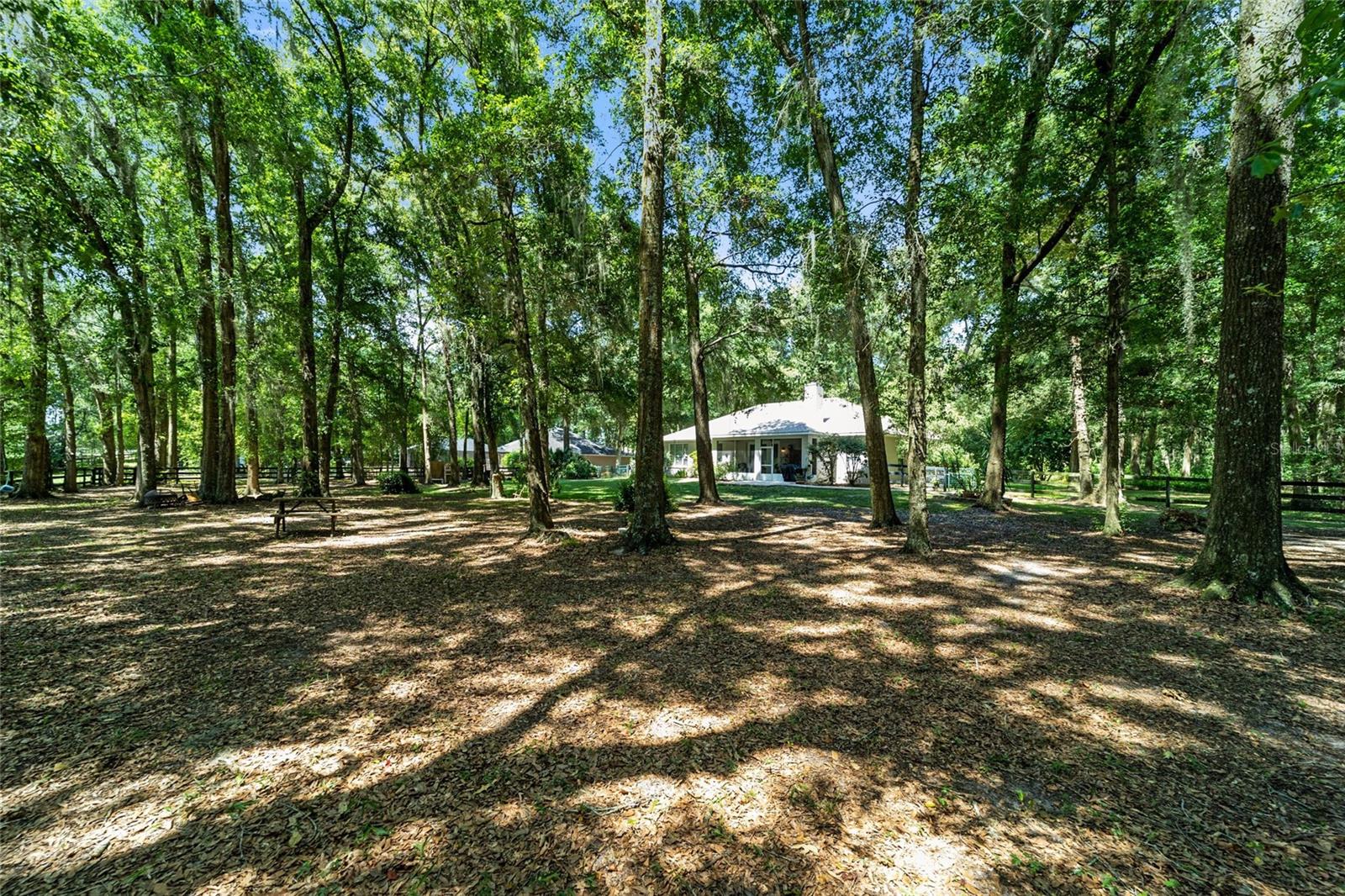 2019 NW 111TH LOOP, OCALA, FL, 34475