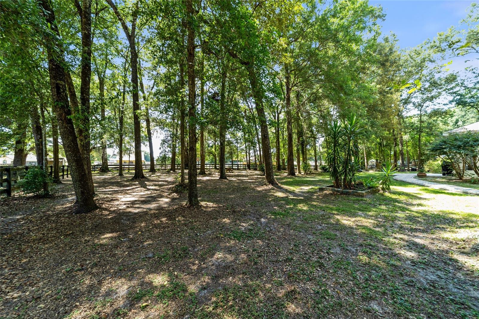 2019 NW 111TH LOOP, OCALA, FL, 34475