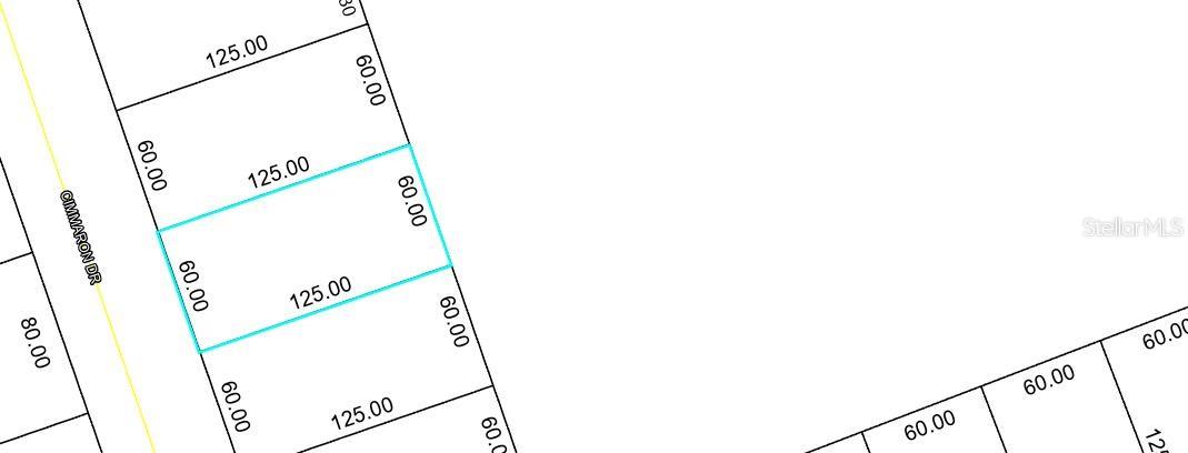 10 CIMMARON DR, PALM COAST, FL, 32137