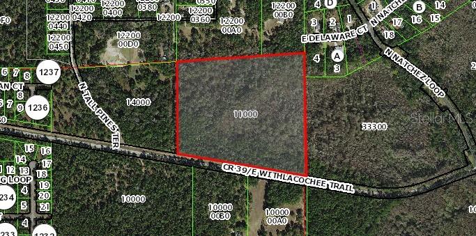 1785 E WITHLACOOCHEE TRL, DUNNELLON, FL, 34434