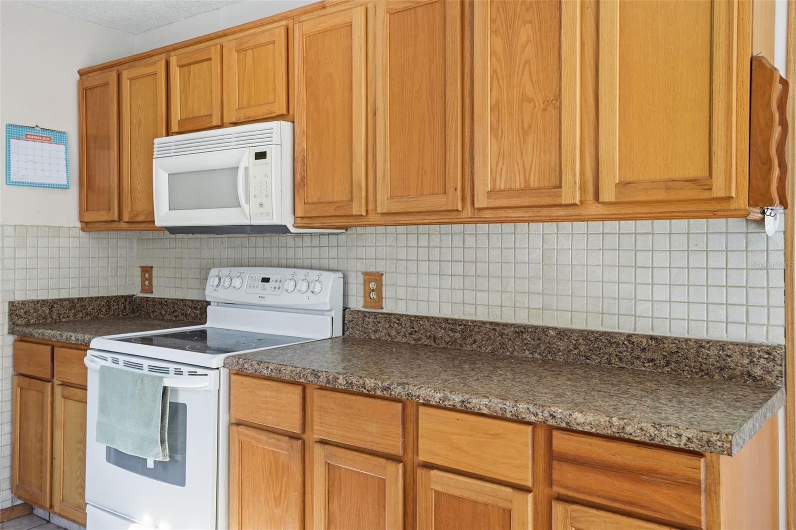 6450 CROWLEY CT, SPRING HILL, FL, 34609