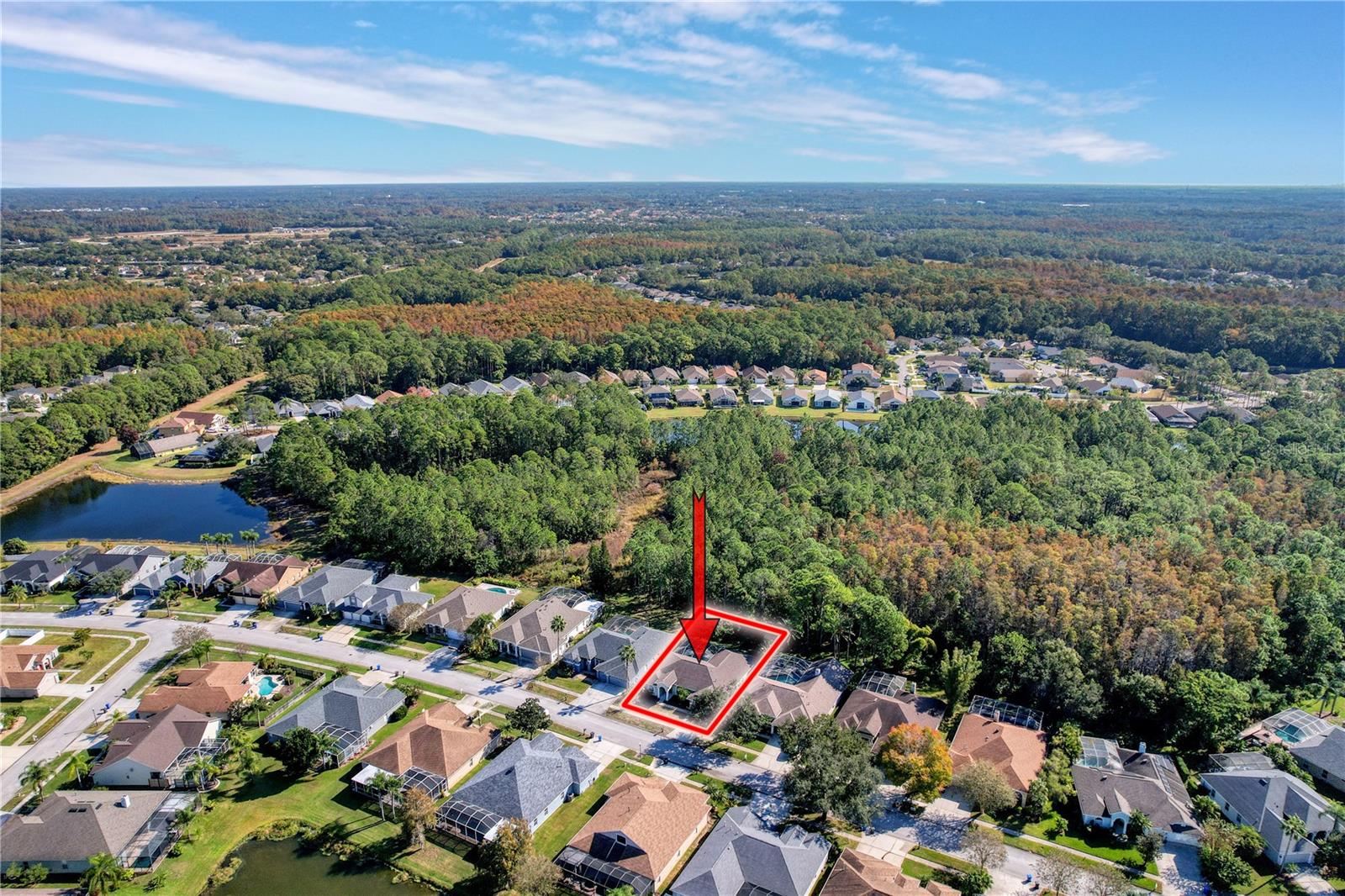 14639 CORAL BERRY DR, TAMPA, FL, 33626