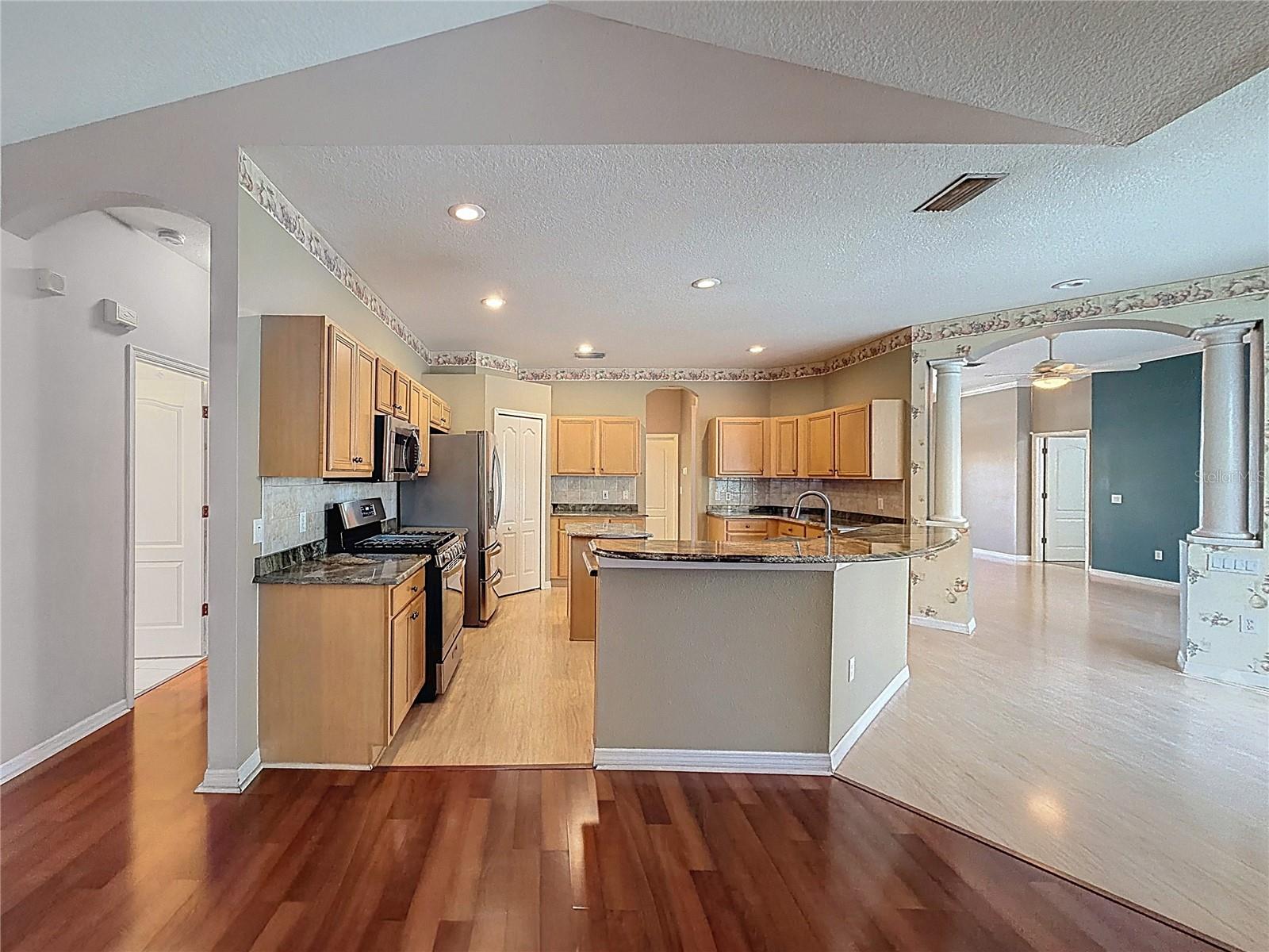 14639 CORAL BERRY DR, TAMPA, FL, 33626