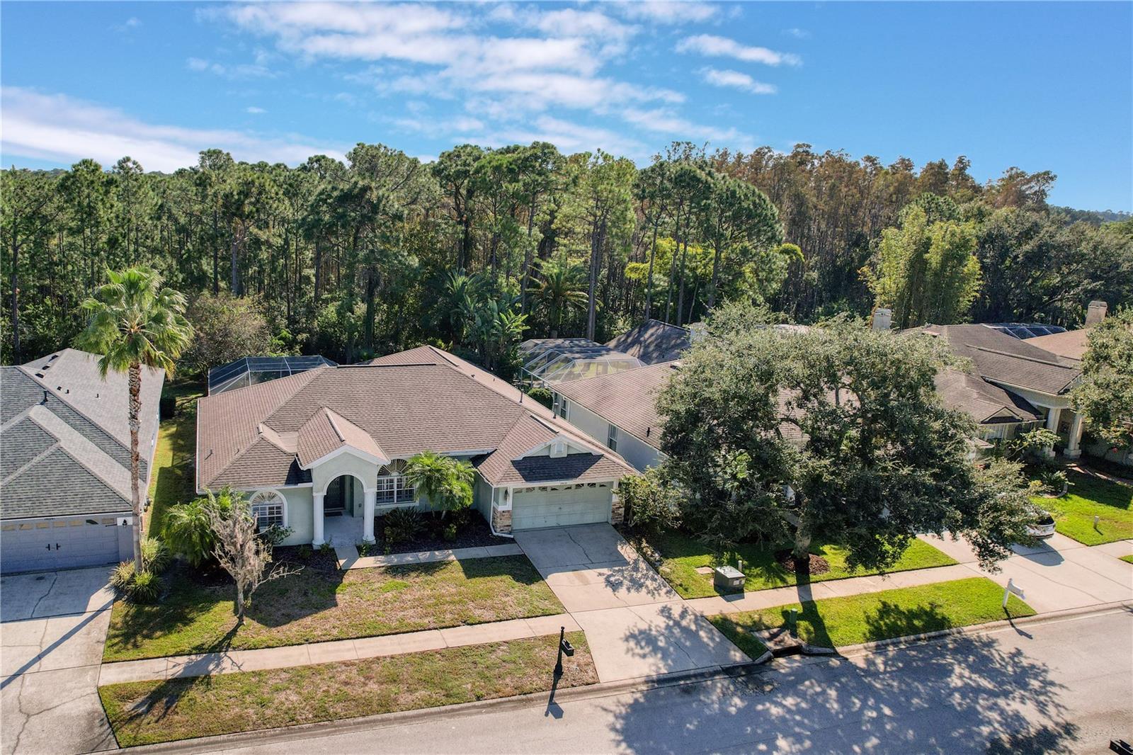 14639 CORAL BERRY DR, TAMPA, FL, 33626