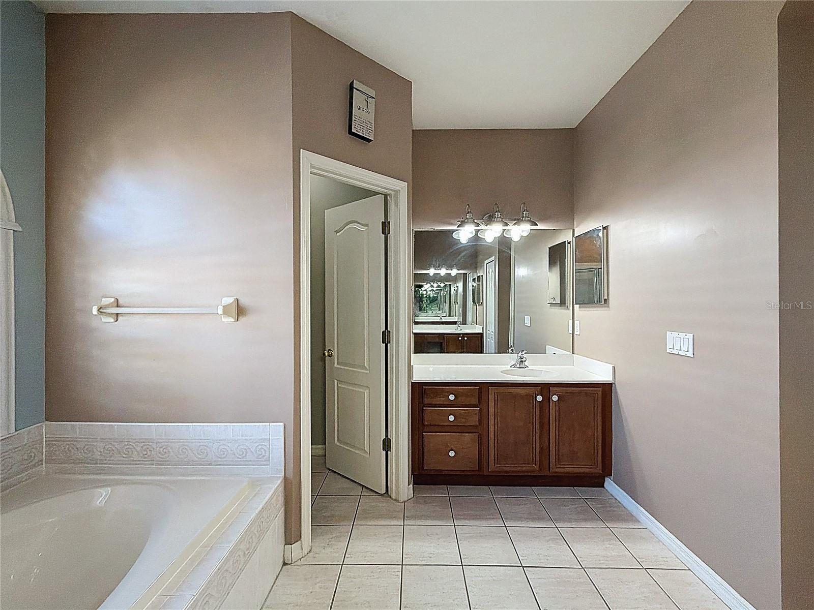 14639 CORAL BERRY DR, TAMPA, FL, 33626