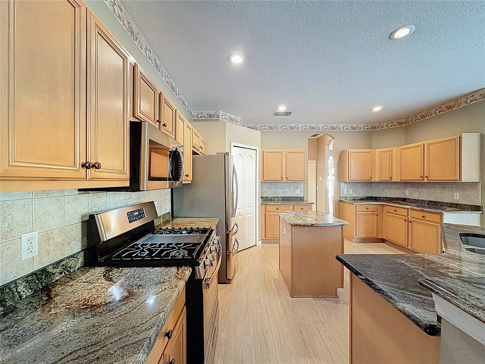 14639 CORAL BERRY DR, TAMPA, FL, 33626