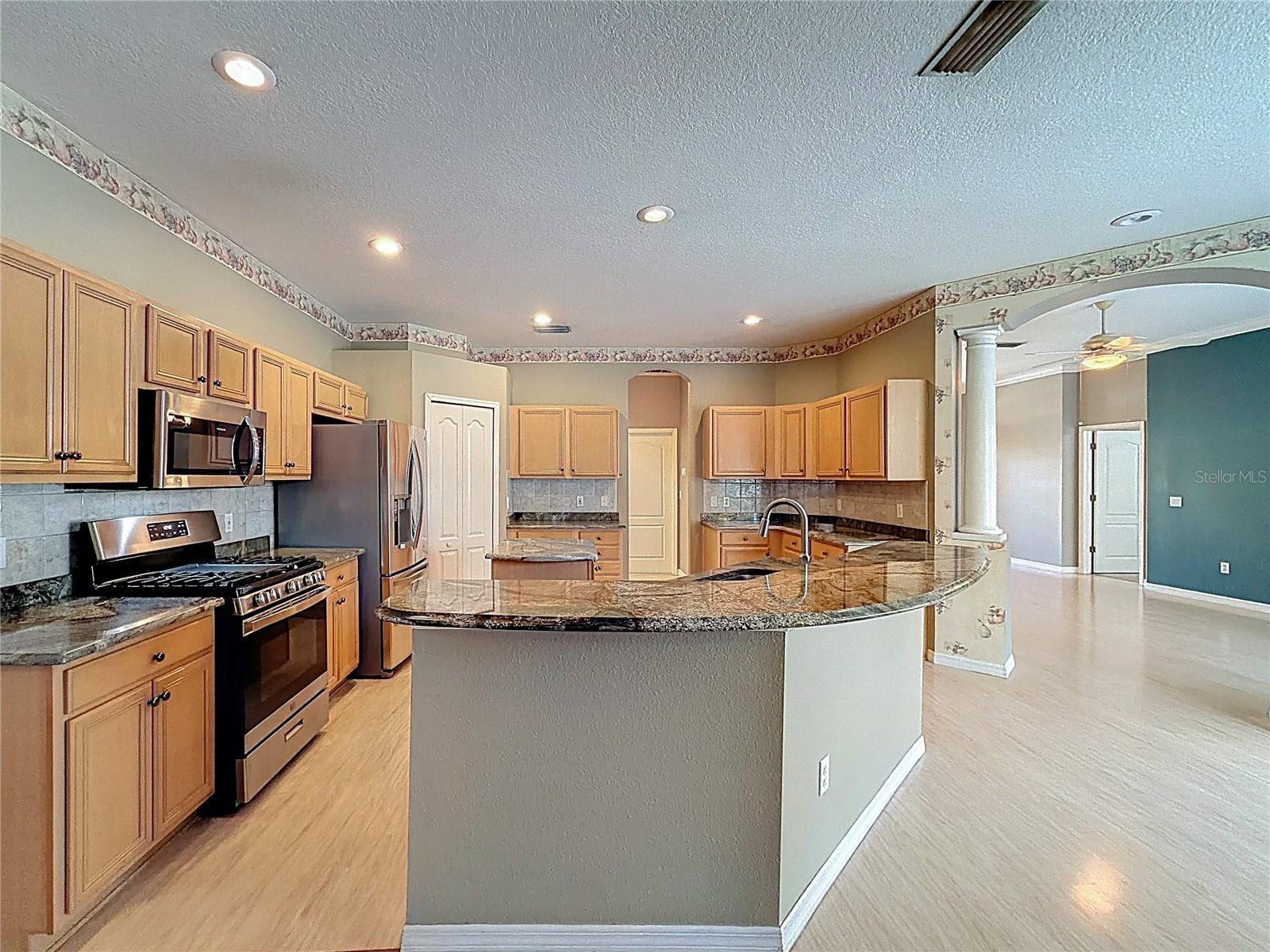 14639 CORAL BERRY DR, TAMPA, FL, 33626