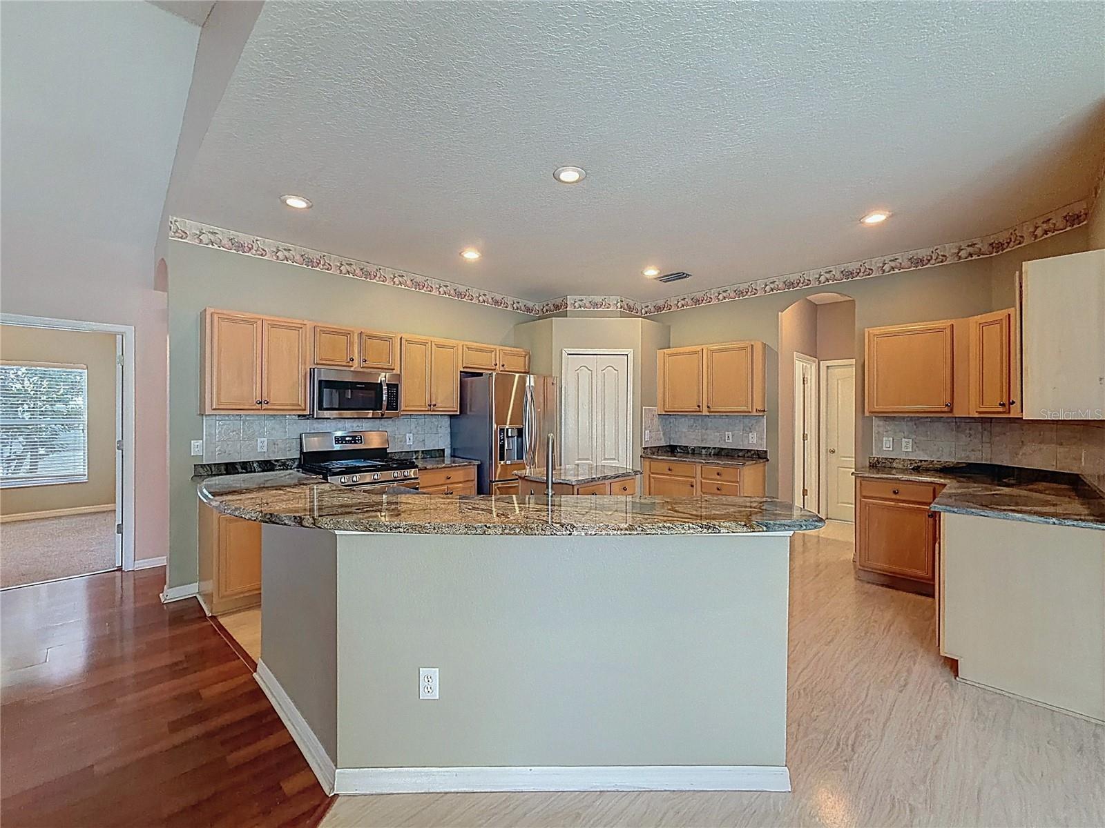 14639 CORAL BERRY DR, TAMPA, FL, 33626