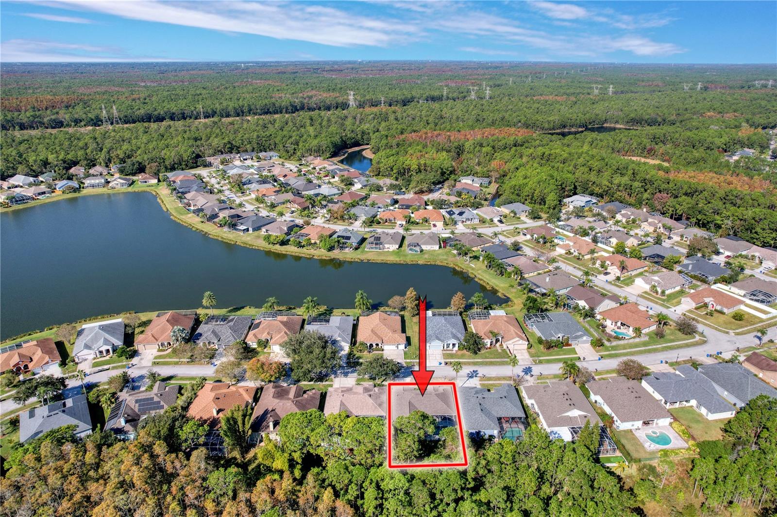 14639 CORAL BERRY DR, TAMPA, FL, 33626