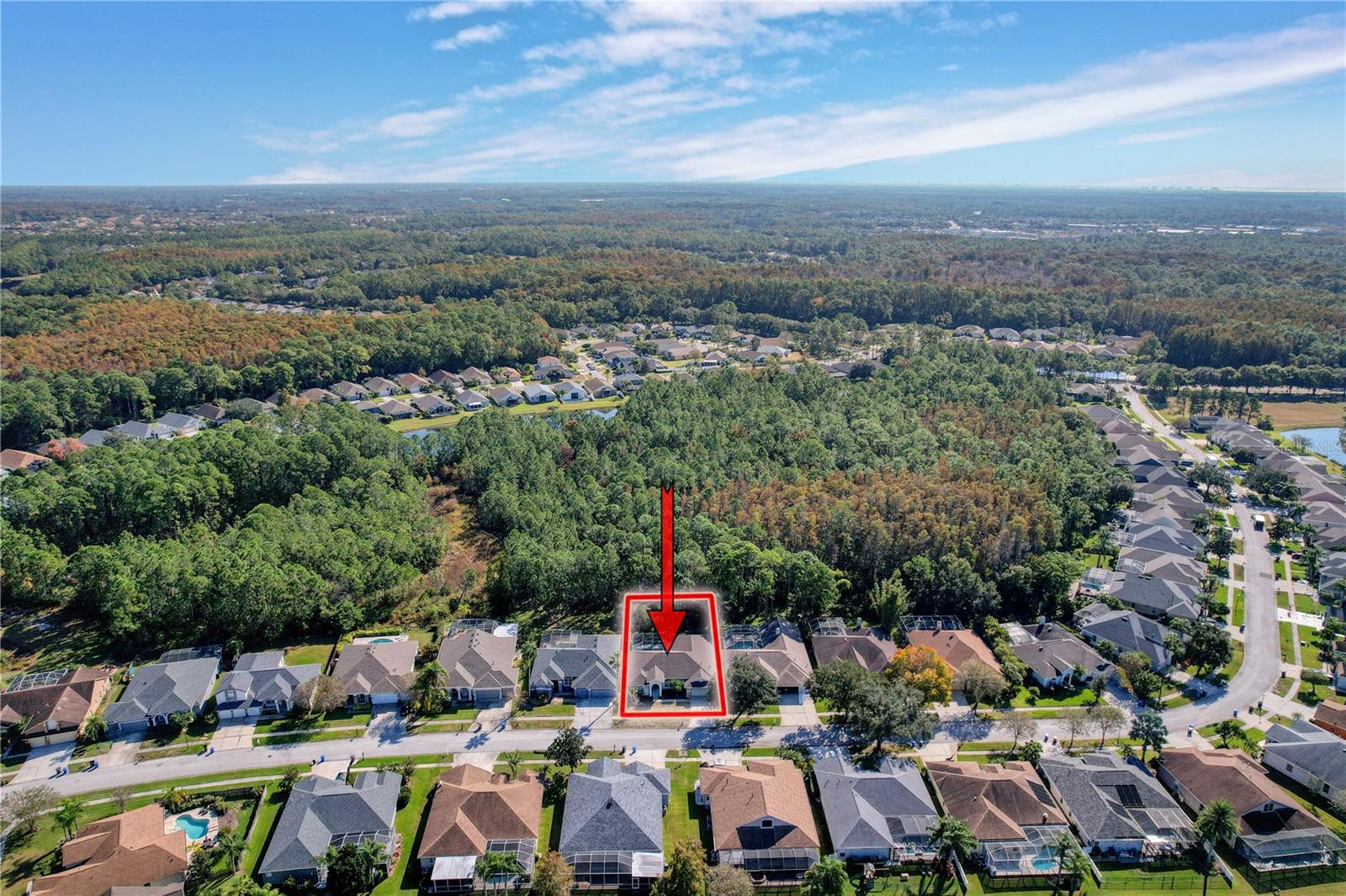 14639 CORAL BERRY DR, TAMPA, FL, 33626